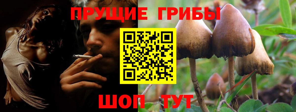 Галлюциногенные грибы Cubensis  Галлюциногенные грибы мицелий  Вход с VPN  как найти закладки  Сегежа 